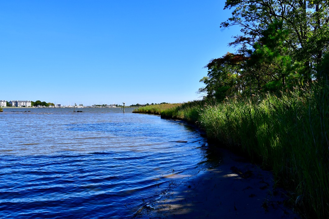 Boats in the Distance