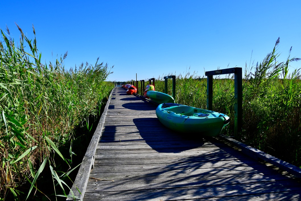 Kayaks in Line