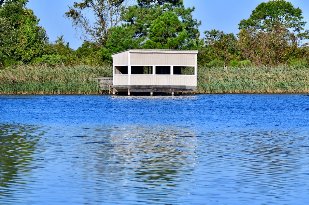 Watching House Across the Water