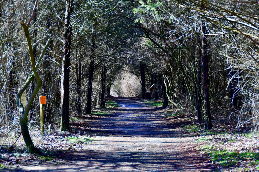 Branched Tunnel