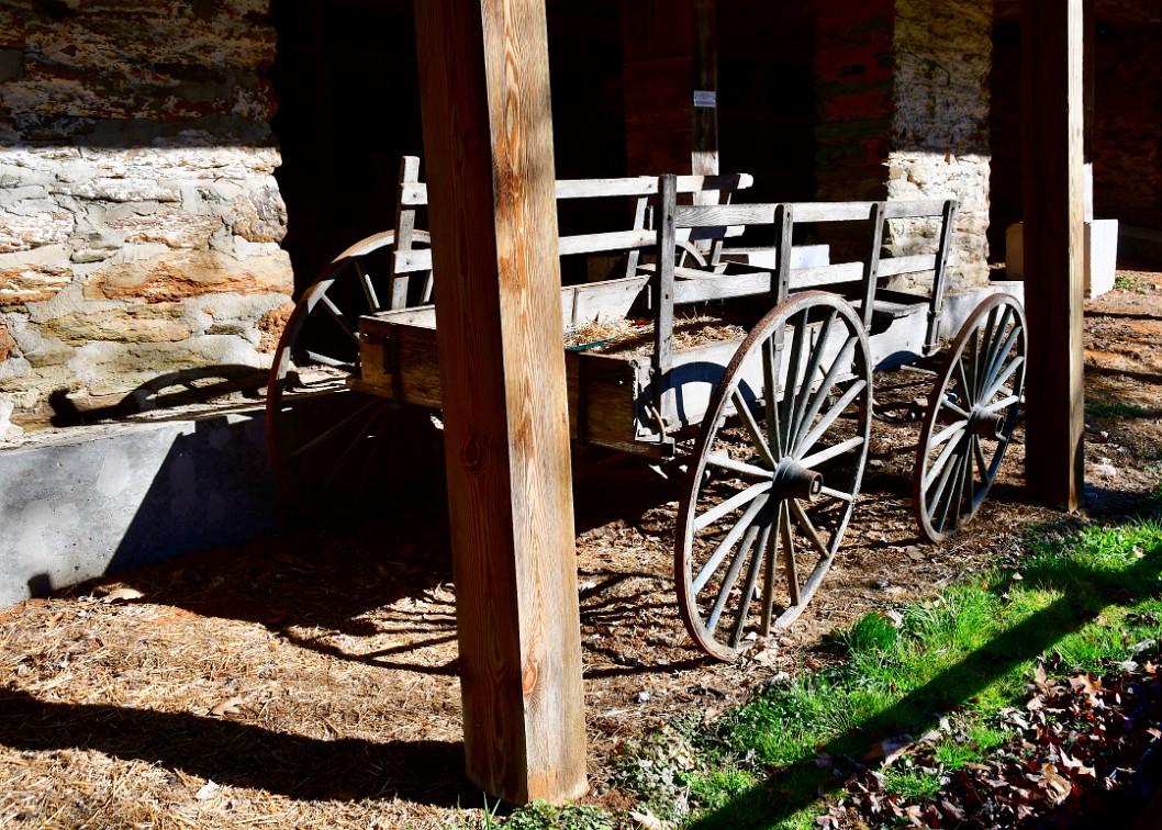 Cart Under Morning Light