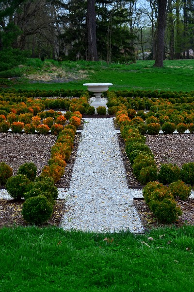 Ordered Rows of Bushes in a Parterre Ordered Rows of Bushes in a Parterre