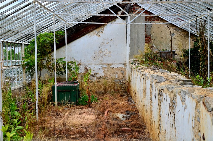 Greenhouse Number 2 Overgrown Greenhouse Number 2 Overgrown