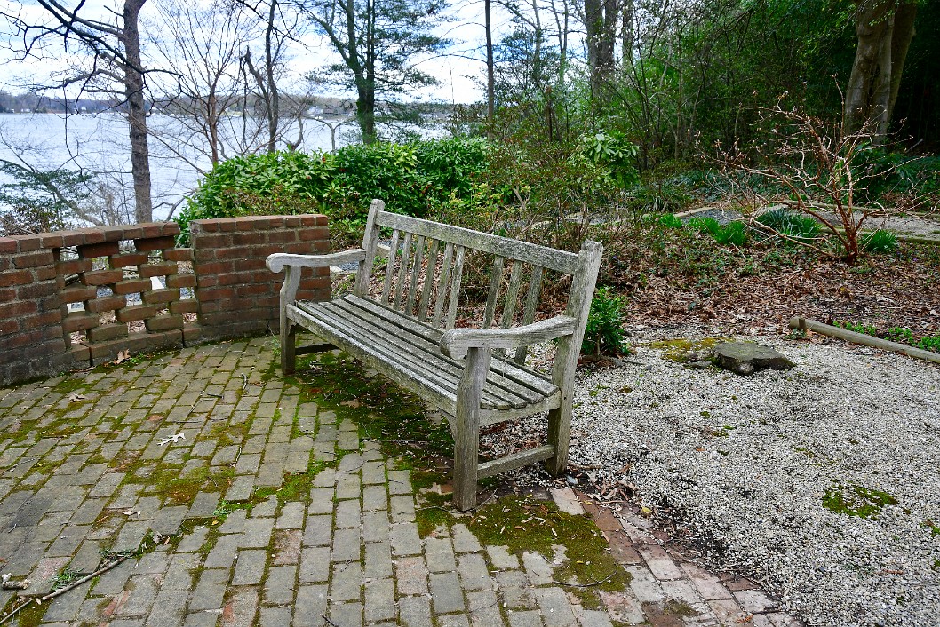 Bench and Moss