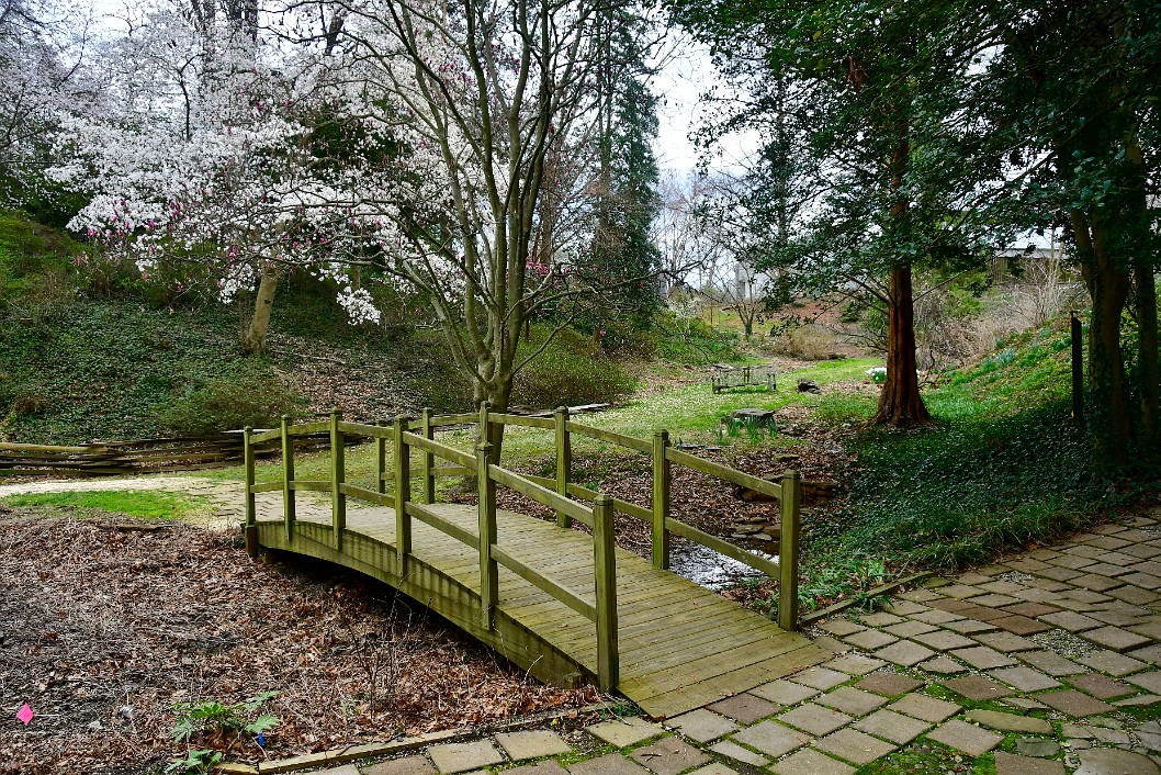 Bridge in Early Springtime