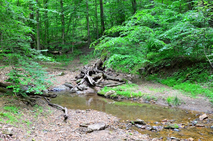 Pile by the Stream Pile by the Stream