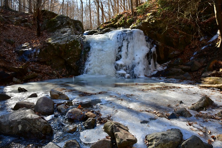 Frozen Landing and Frozen Movement