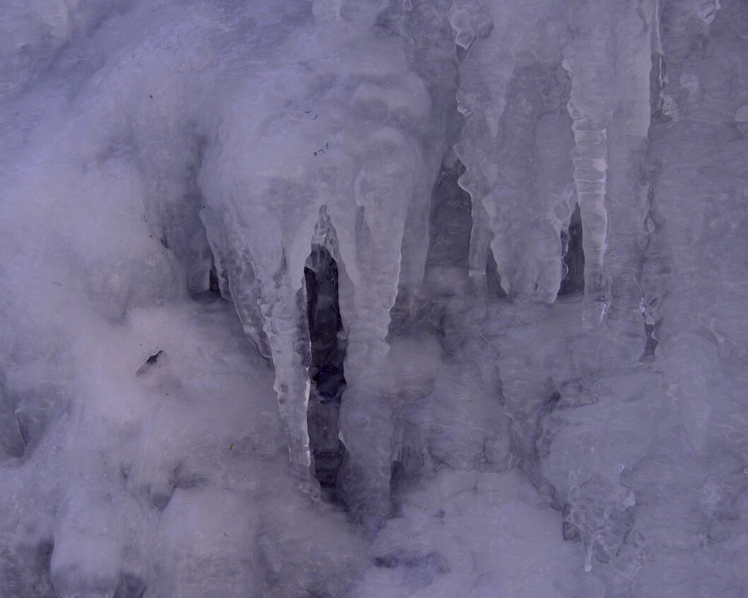 Between the Ice Fangs