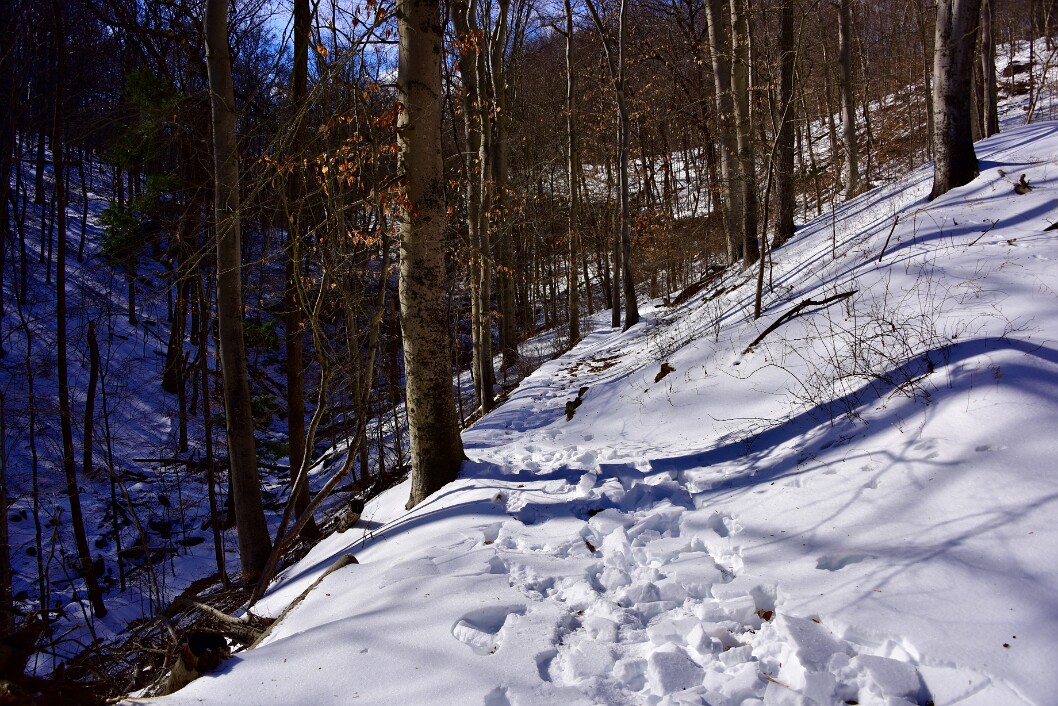 Thin Path Traveled