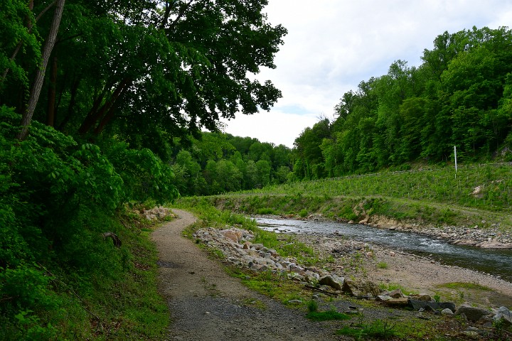 Little Winding Trail