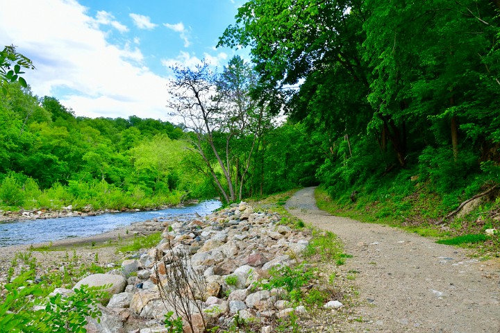 Looking Back Down River