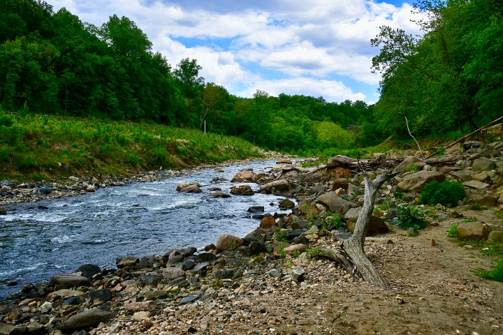 Stones Into the River