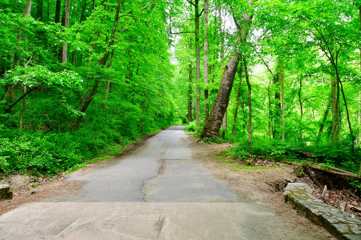 Walking the Road