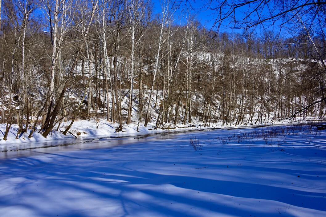 Bare Sticks and White Landscape