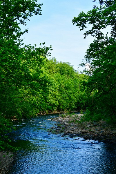Water Blue and Trees Green