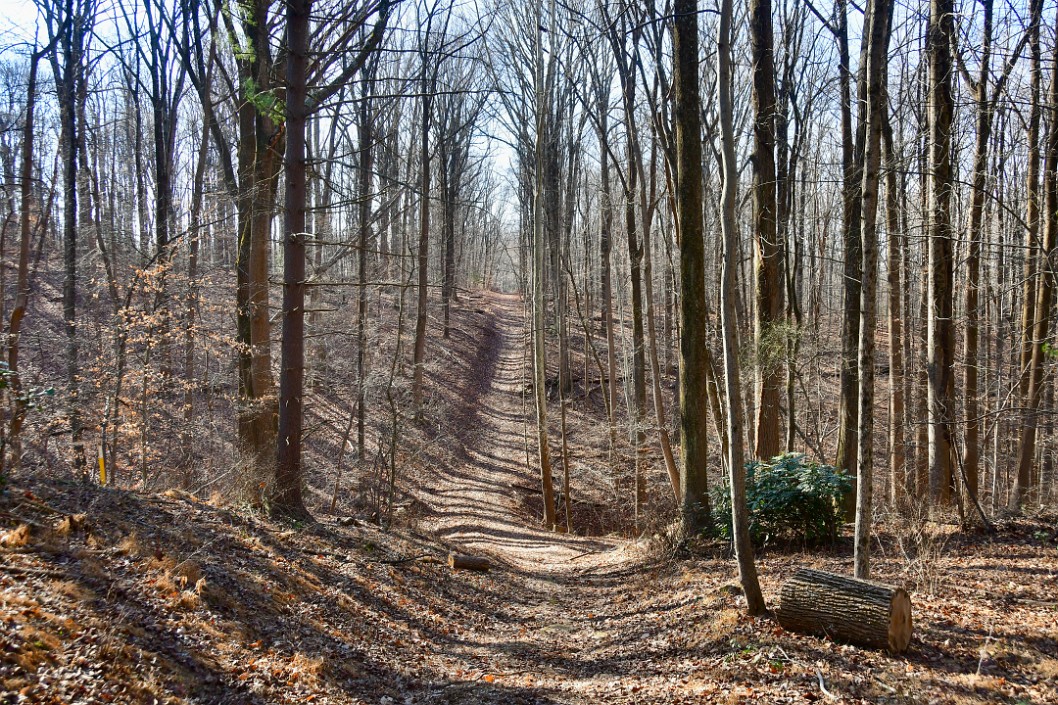 Log Remains