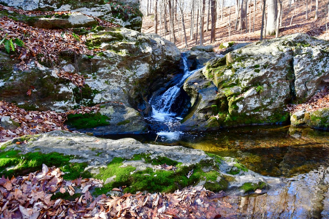 Moss Surrounding the Water-Carved Stone