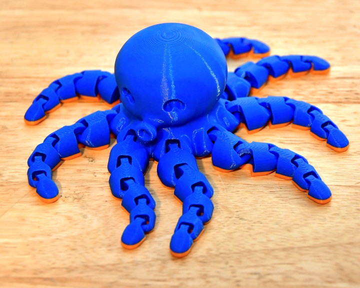 Blue and Orange Octopus With Segmented Arms (Made by Seth)