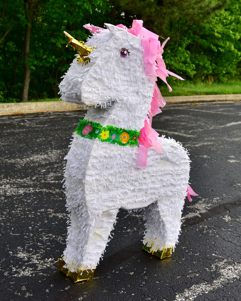 The Anxiety Unicorn Standing Proudly