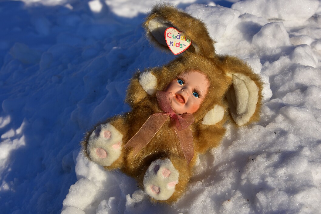 Bobby the Snow Bunny 1