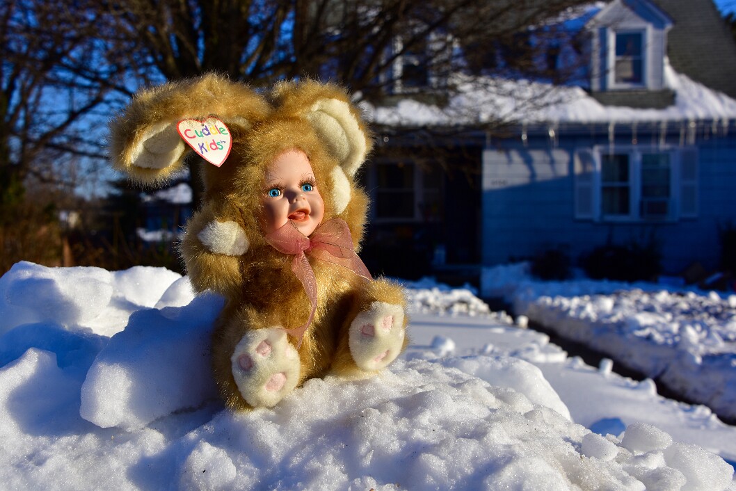 Bobby the Snow Bunny 2