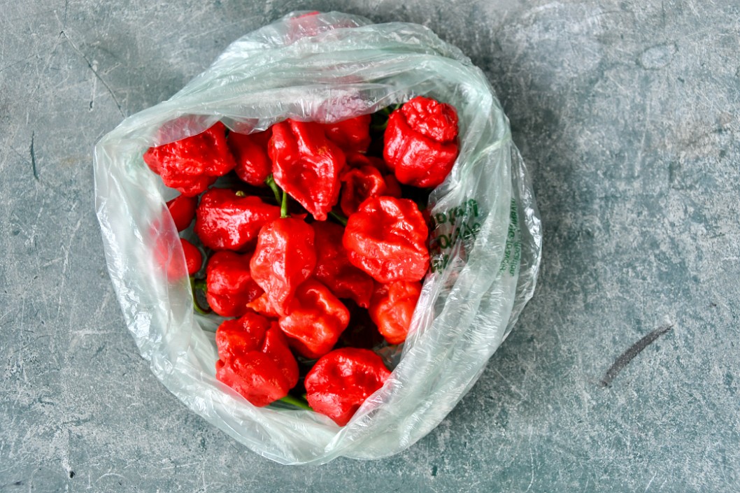 Ghost and Scorpion Peppers From John and Kim 1